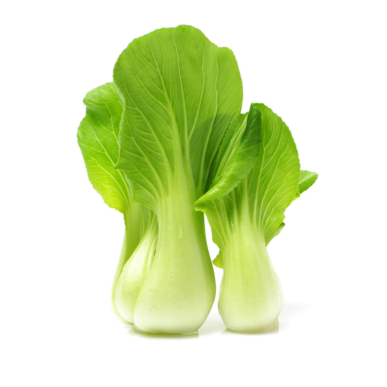 Bok Choy Bunch