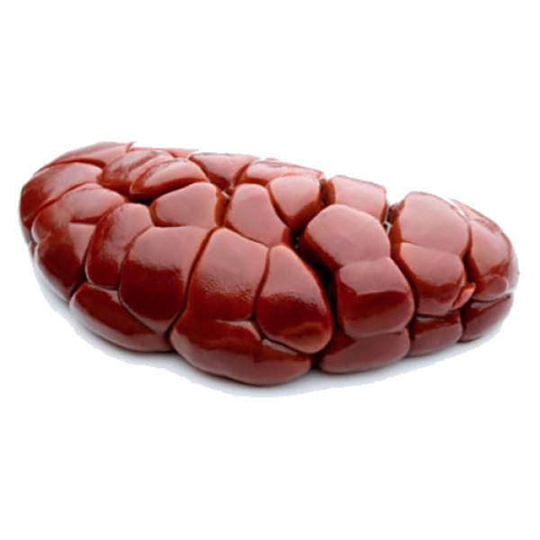 Beef Kidney +/- 1 KG
