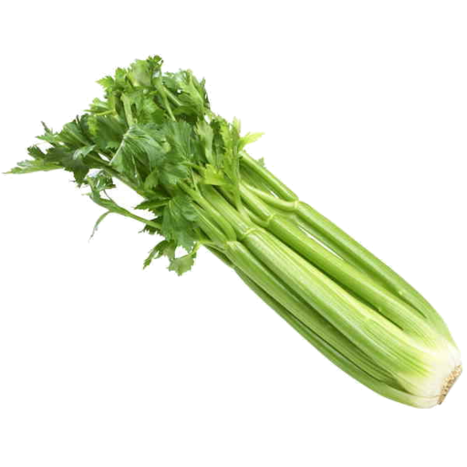 Celery Bunch