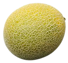 Spansspek Melon